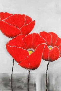 Three poppies