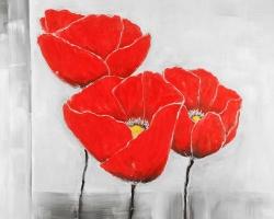 Three poppies