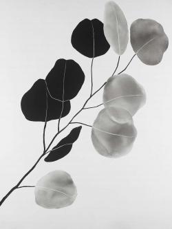 Branche en tons de gris et feuilles rondes