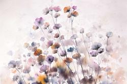 Wildflowers