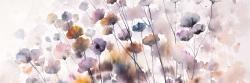 Wildflowers