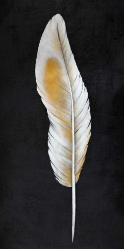 Plume