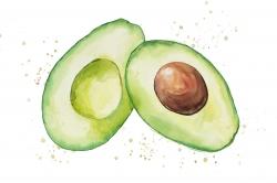 Watercolor open avocado