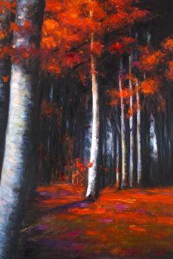 Mysterious forest