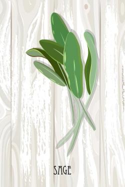 Sage on wood