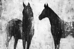 Chevaux blancs et noirs
