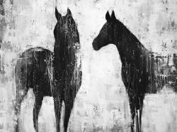 Chevaux blancs et noirs