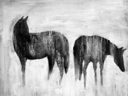 Horses silhouettes in the mist