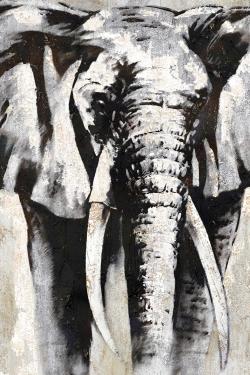 éléphant en beige