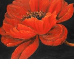 Red petal flower