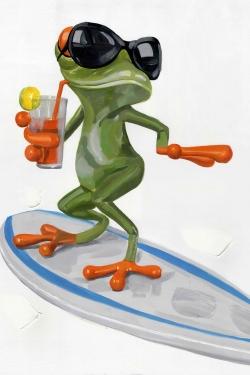 Drôle de grenouille sur surf