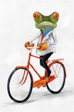 Drole de grenouille à vélo