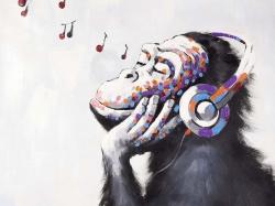 Monkey listening music