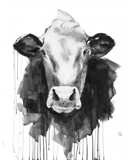 Vache
