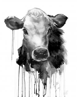 Vache jersey
