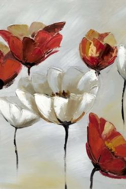 Abstract red and white flowers