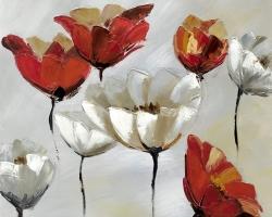 Abstract red and white flowers