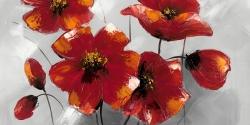 Anemone flowers