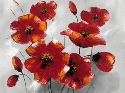 Anemone flowers