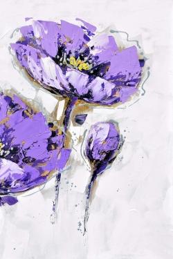 Anémones mauves