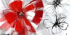 Fleurs rouges et grises