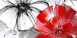 Red & white flowers sketch