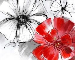 Red & white flowers sketch
