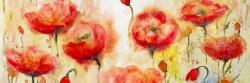 Red flowers garden