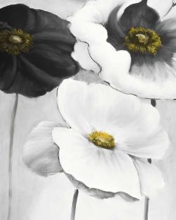 Assortiments de fleurs blanches