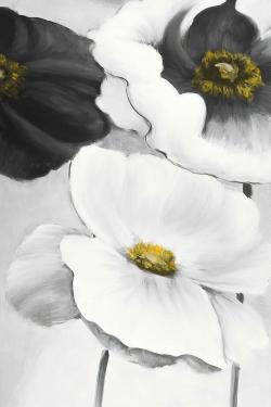 Assortiments de fleurs blanches