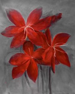 Asiatic lily