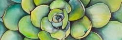 Succulent à l'aquarelle
