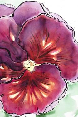 Blossoming orchid with wavy petals