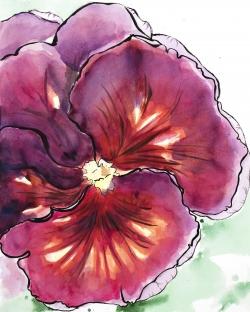 Blossoming orchid with wavy petals