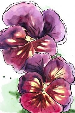 Two blossoming orchid with wavy petals