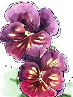 Two blossoming orchid with wavy petals