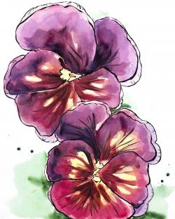 Two blossoming orchid with wavy petals