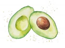 Watercolor open avocado