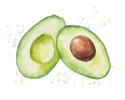 Watercolor open avocado