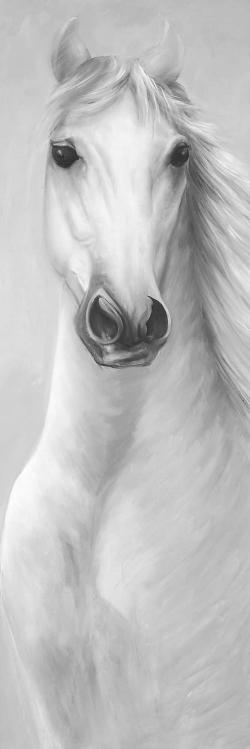 Cheval blanc puissant monochrome