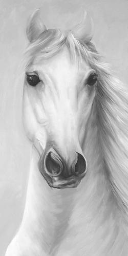 Cheval blanc puissant monochrome