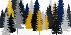Golden fir