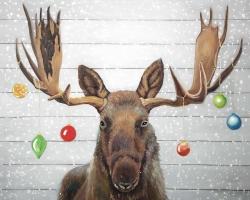 Moose has christmas balls