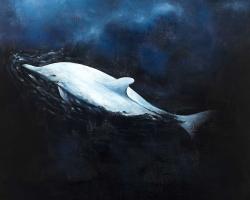Swimming dolphin