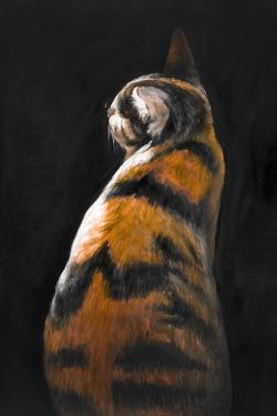 Spotted cat