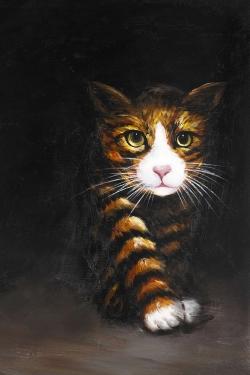 Discreet cat