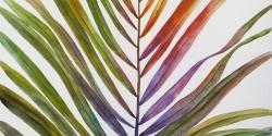 Feuille de palmier tropical