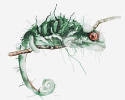 Chameleon on the lookout
