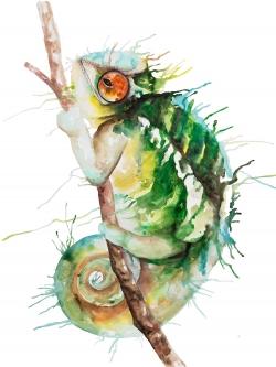 Watercolor chameleon