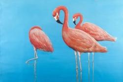 Groupe de flamants